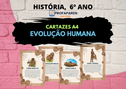 Quatro Cartazes Evolução Humana